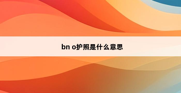 bn o护照是什么意思 